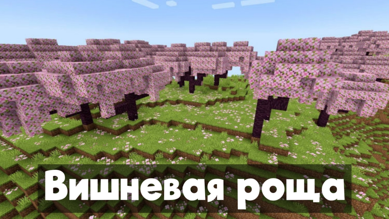 �������� ���� � ��������� 1.20.20.21