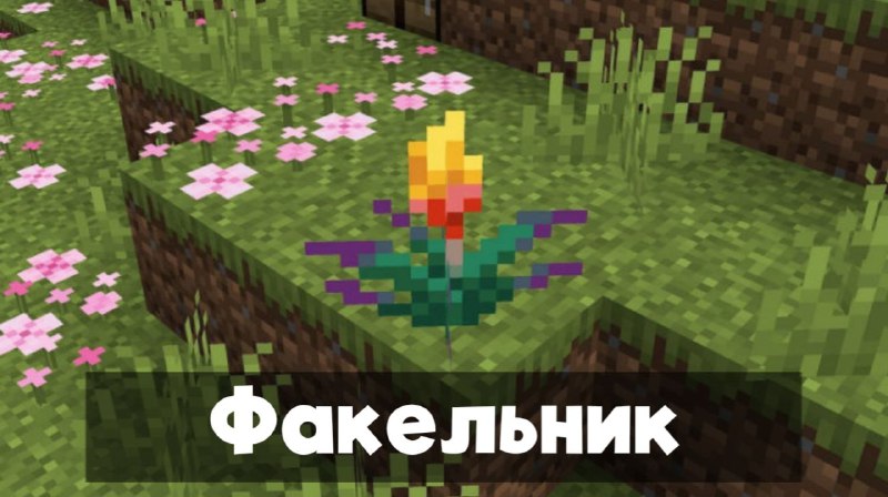 ����� � ��������� �� 1.20.30.21